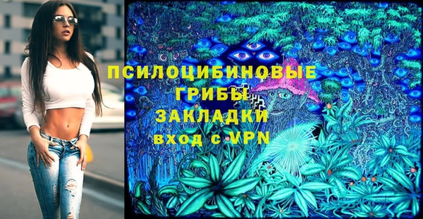 ешки Надым