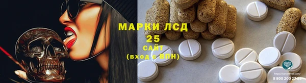 прущие грибы Михайловка