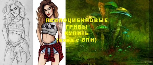 ешки Навашино