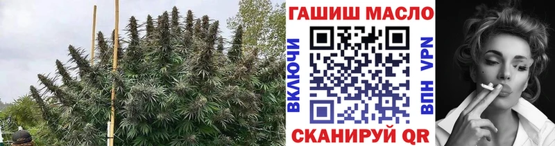 ТГК вейп с тгк Апатиты