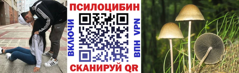 Купить  Апатиты  Галлюциногенные грибы Magic Shrooms 